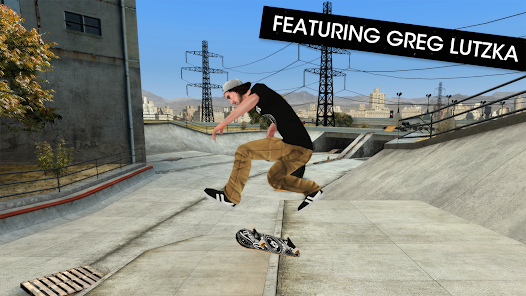 Skateboard Party