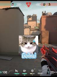 ข้อผิดพลาดที่ผู้เล่น Valorant มือใหม่มักทำ (รู้ก่อน แก้ไว เล่นเก่งขึ้นทันที)